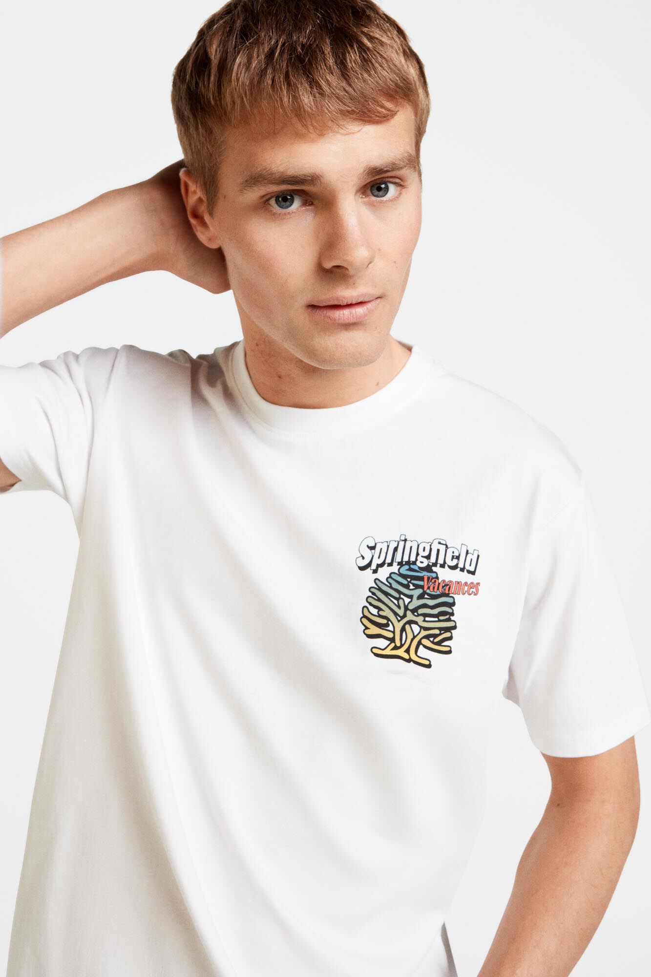 Camisetas de hombre | Rebajas | Springfield