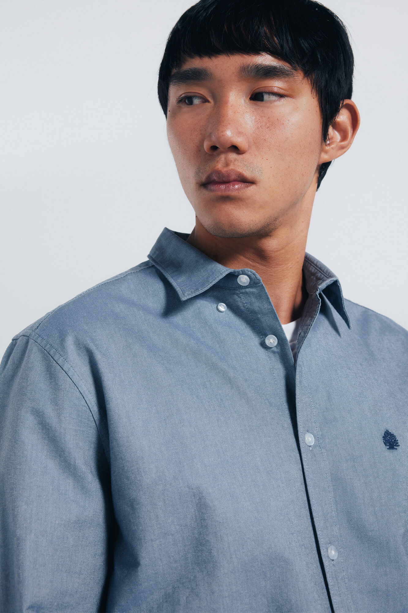 Springfield Oxford shirt