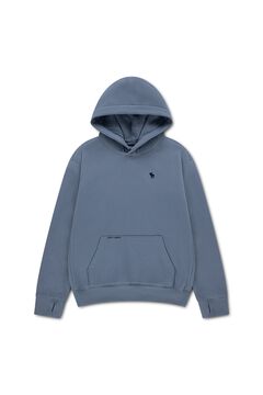 Abercrombie Kids Graphic hooded sweatshirt