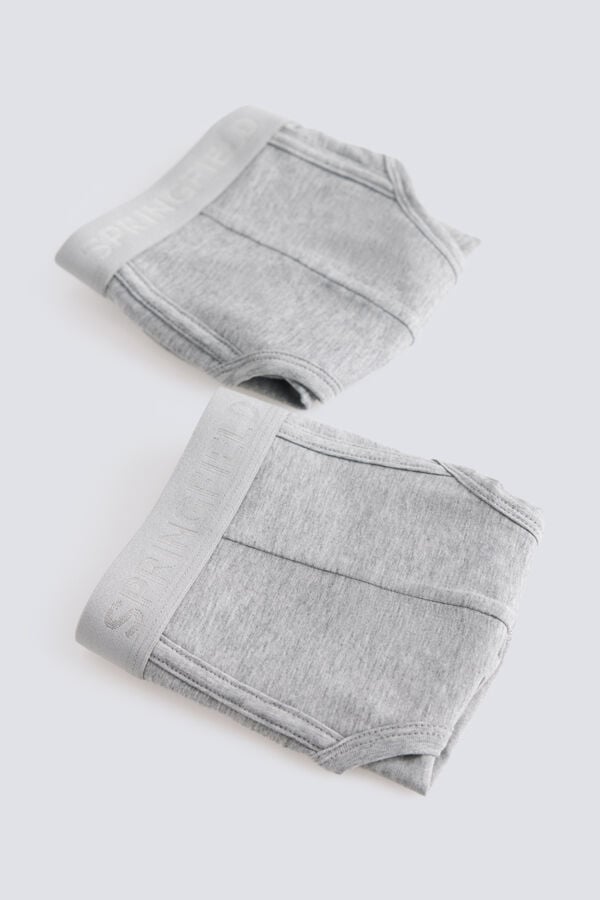 Springfield Pack 2 plain briefs grey