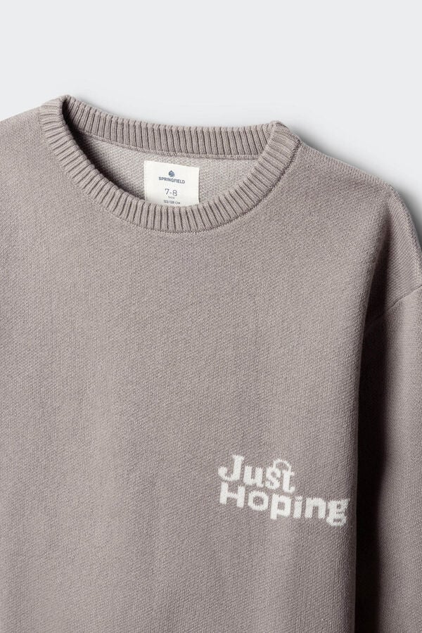 Springfield Kids Jersey "Just Hopping" ni&ntilde;o. gris