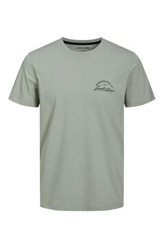 Springfield Short-sleeved T-shirt  gris