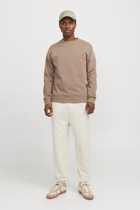 Jack & Jones Jogginghose mit regular fit