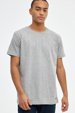 Springfield Basic-Shirt gris
