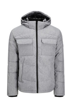 Springfield Padded jacket  gris
