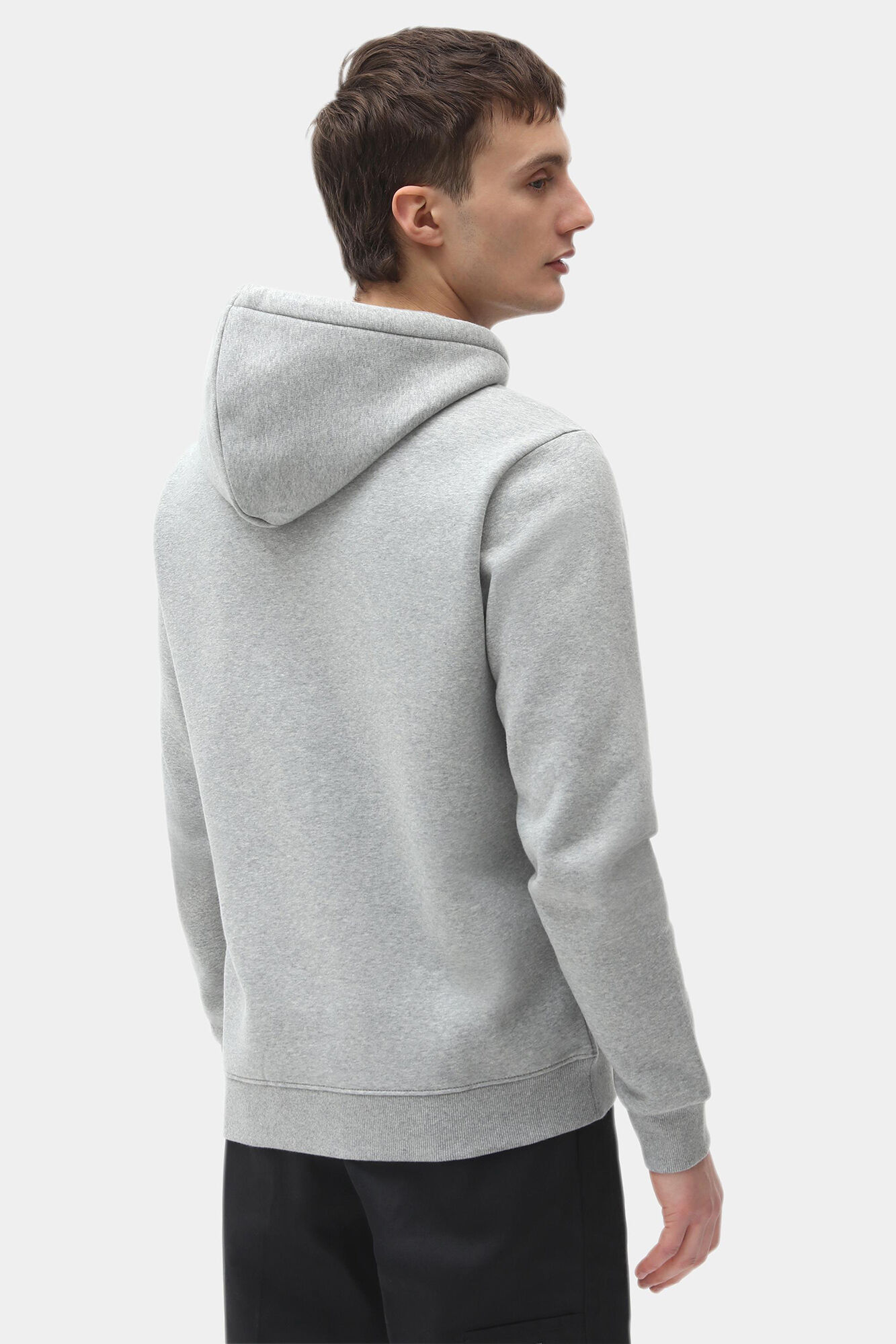 Dickies Moletom com sweatshirt The Icon Capuz