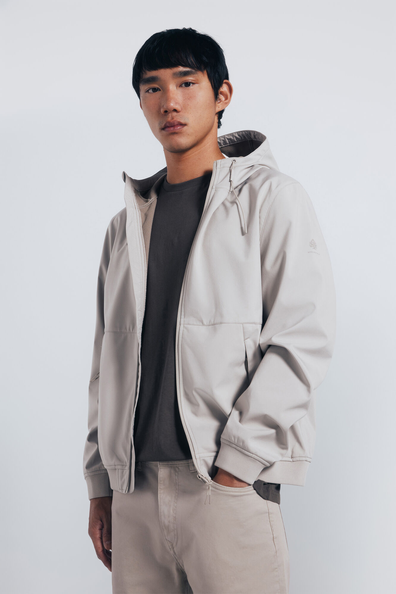Springfield hood softshell jacket