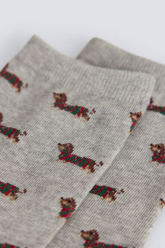 Springfield Dachshund socks