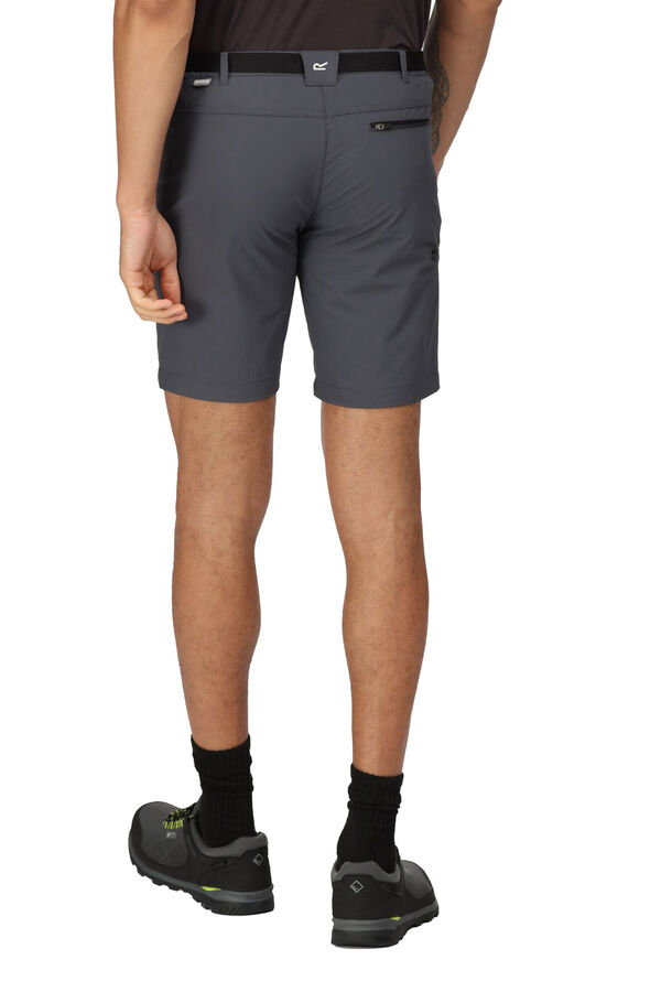 Springfield Xert Stretch III Bermuda shorts grey