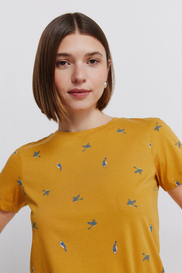 Springfield Printed short sleeve T-shirt nude