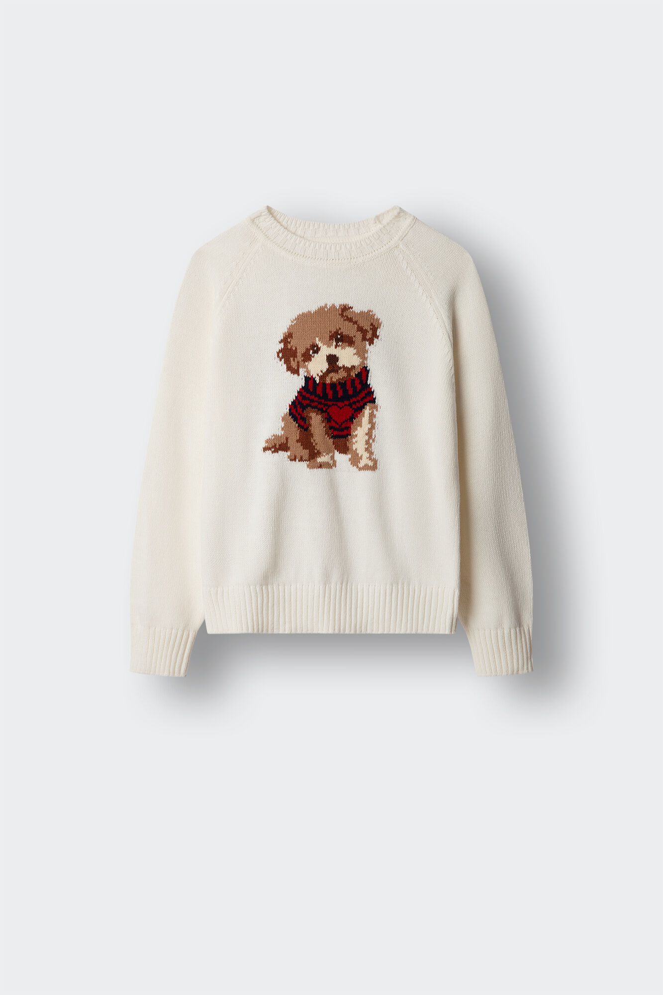 Springfield Kids Jersey perro ni&ntilde;a