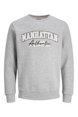 JJ REBEL regular fit sweatshirt grey