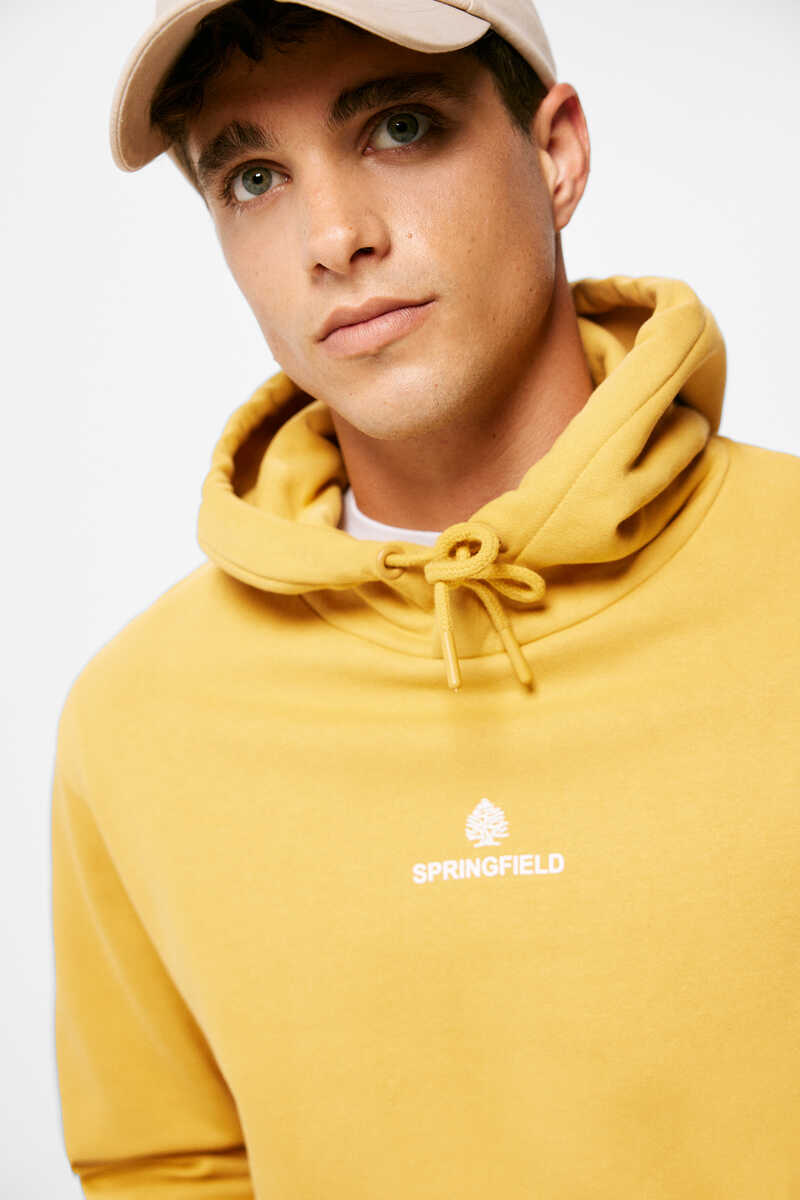 Springfield Plain logo hoodie color