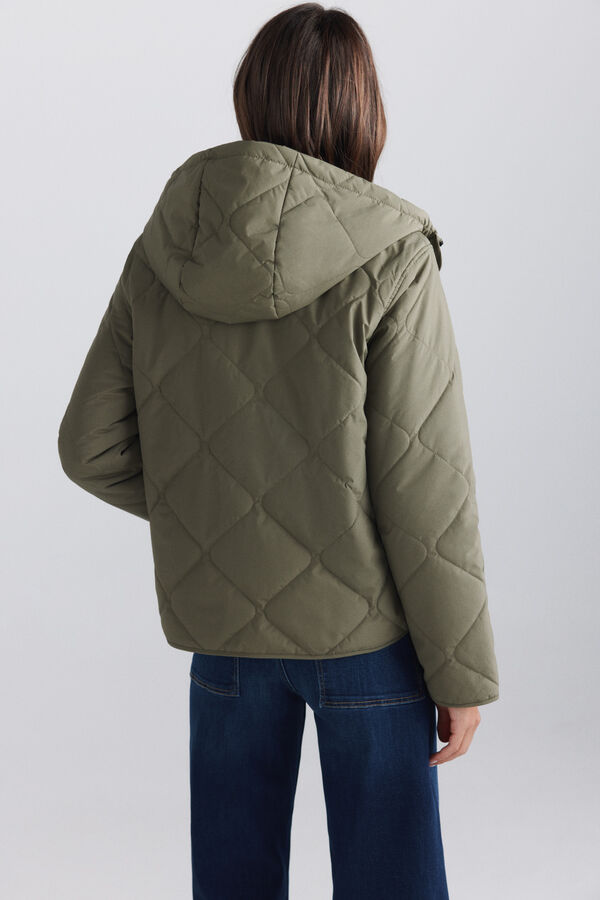 Springfield Puffer short jacket with hood beige