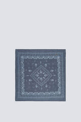 Springfield Small bandana scarf blue