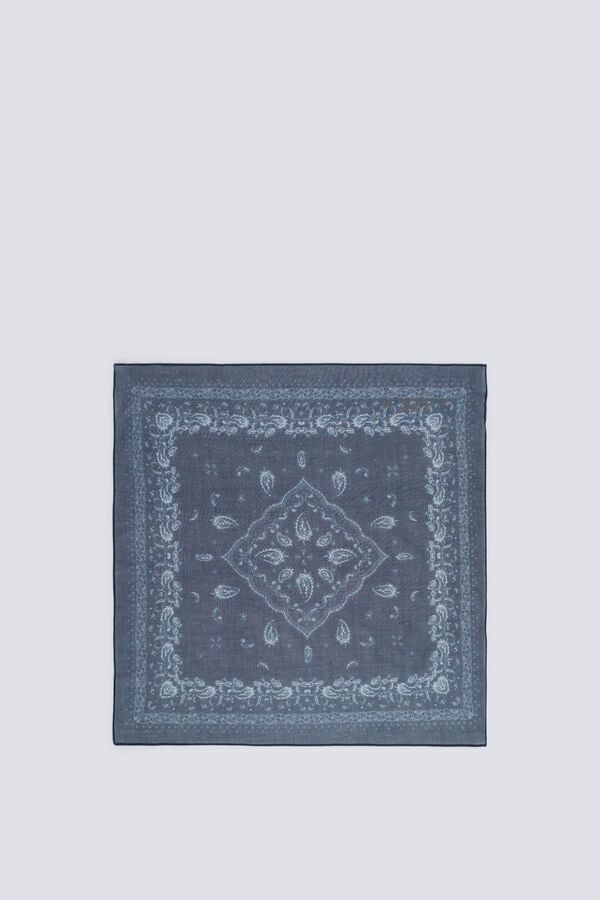 Springfield Small bandana scarf blue