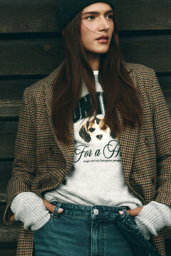 Springfield Sudadera "Hunting" gris