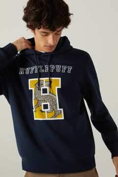 Springfield Harry Potter essential hooded sweatshirt blue