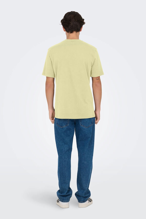 Springfield Kurzarm-Shirt  color