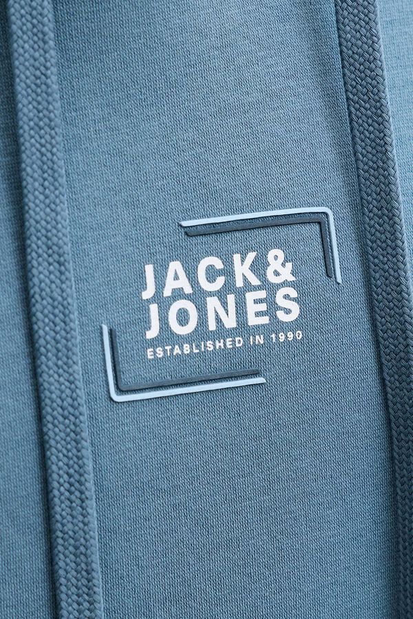 Jack & Jones Sudadera con capucha regular fit gris
