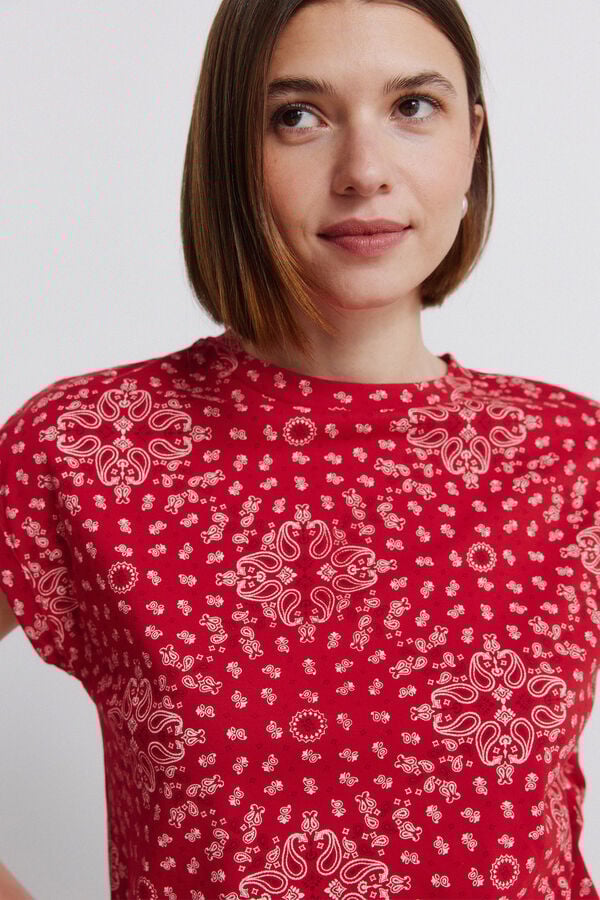 Springfield Folded sleeve T-shirt burgundy