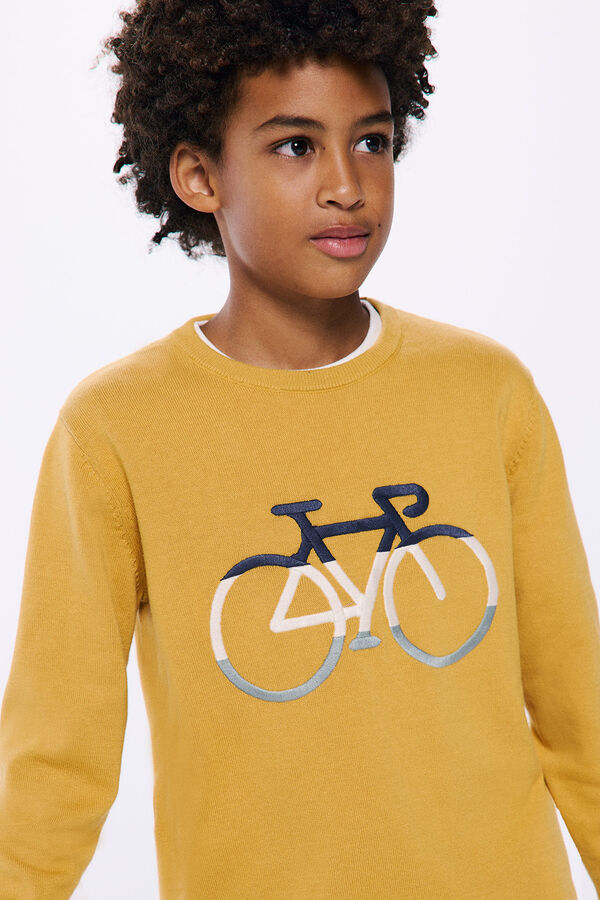 Springfield Camisola bicicleta menino golden