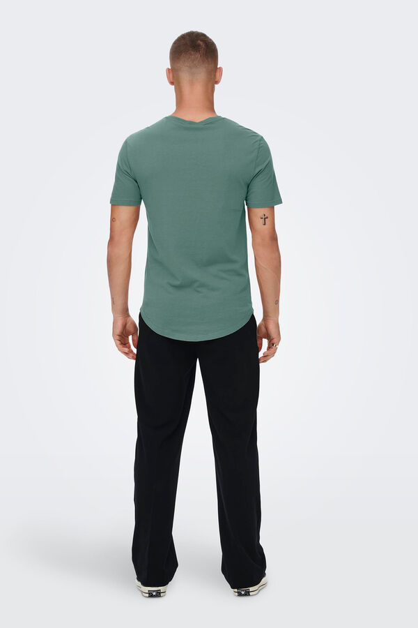 Springfield Basic-T-Shirt grün