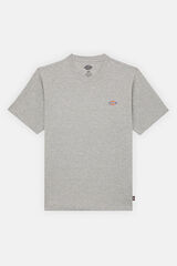 Dickies Short sleeve T-shirt grey