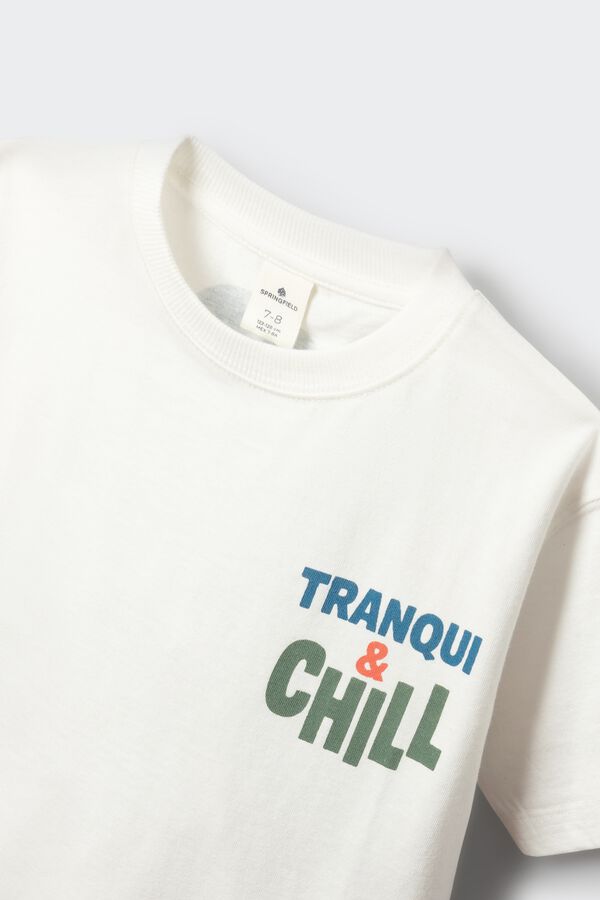 Springfield Kids Majica kratkih rukava "Tranqui & Chill" za dečake Bež