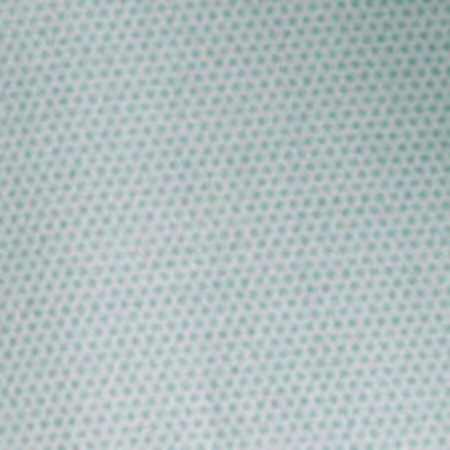 Color swatch