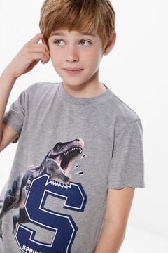 Springfield Boys' dinosaur print T-shirt gray