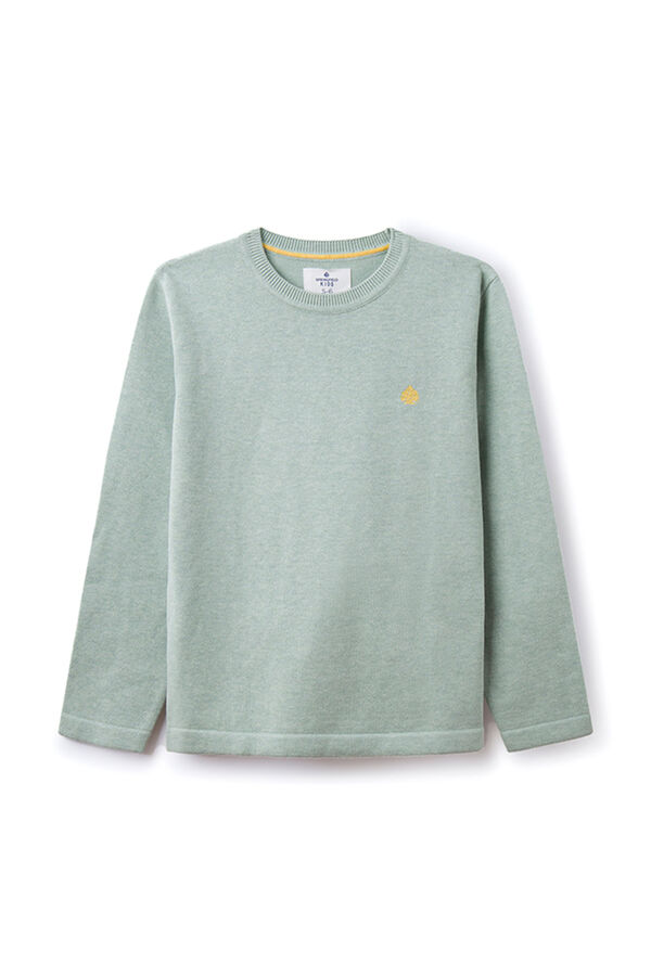 Springfield Boys' jumper with elbow patches green