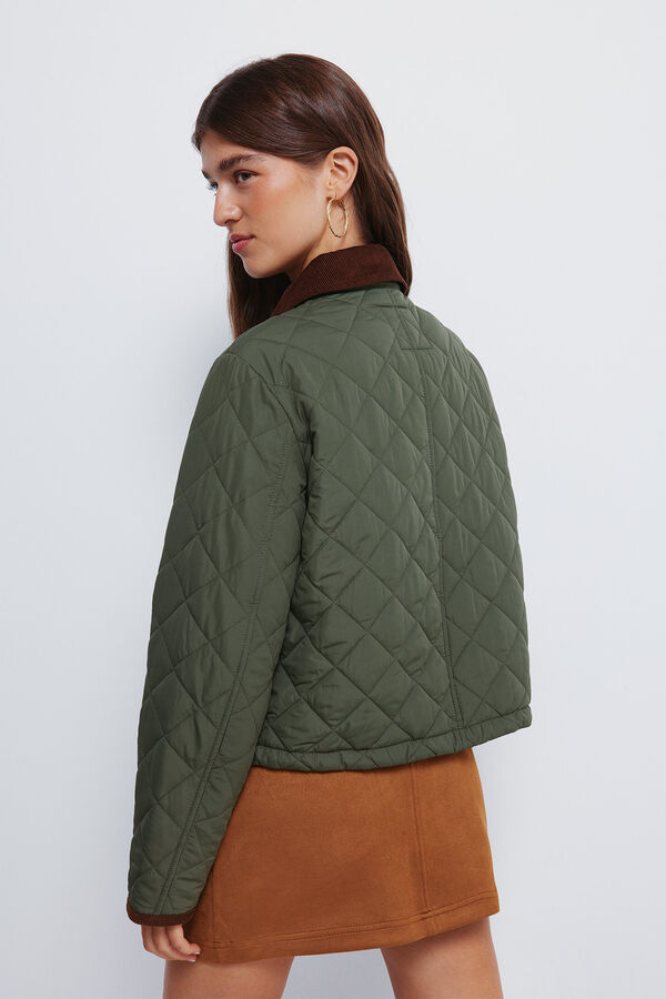 Springfield Casaco curta acolchoada com gola de veludo cotelê Caqui escuro