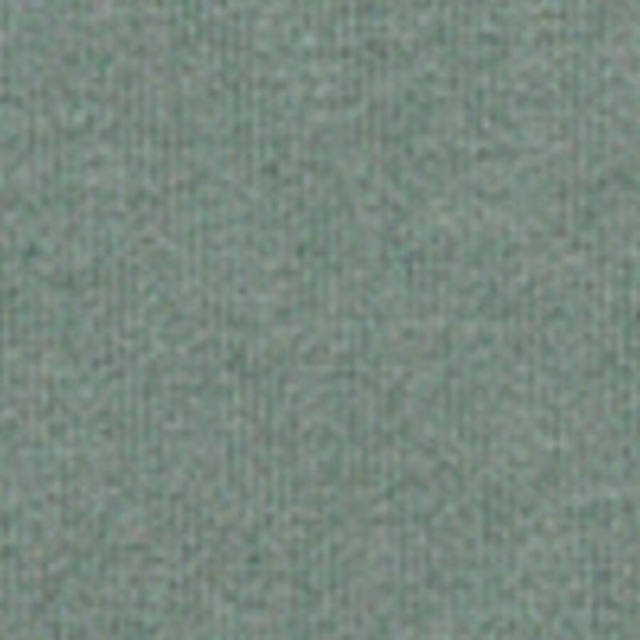 Color swatch