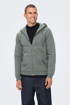 Springfield Zip-up hoodie gray