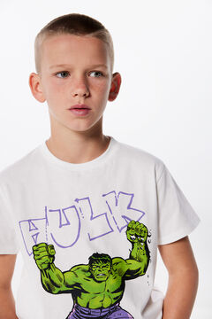 Springfield T-shirt Hulk menino cru