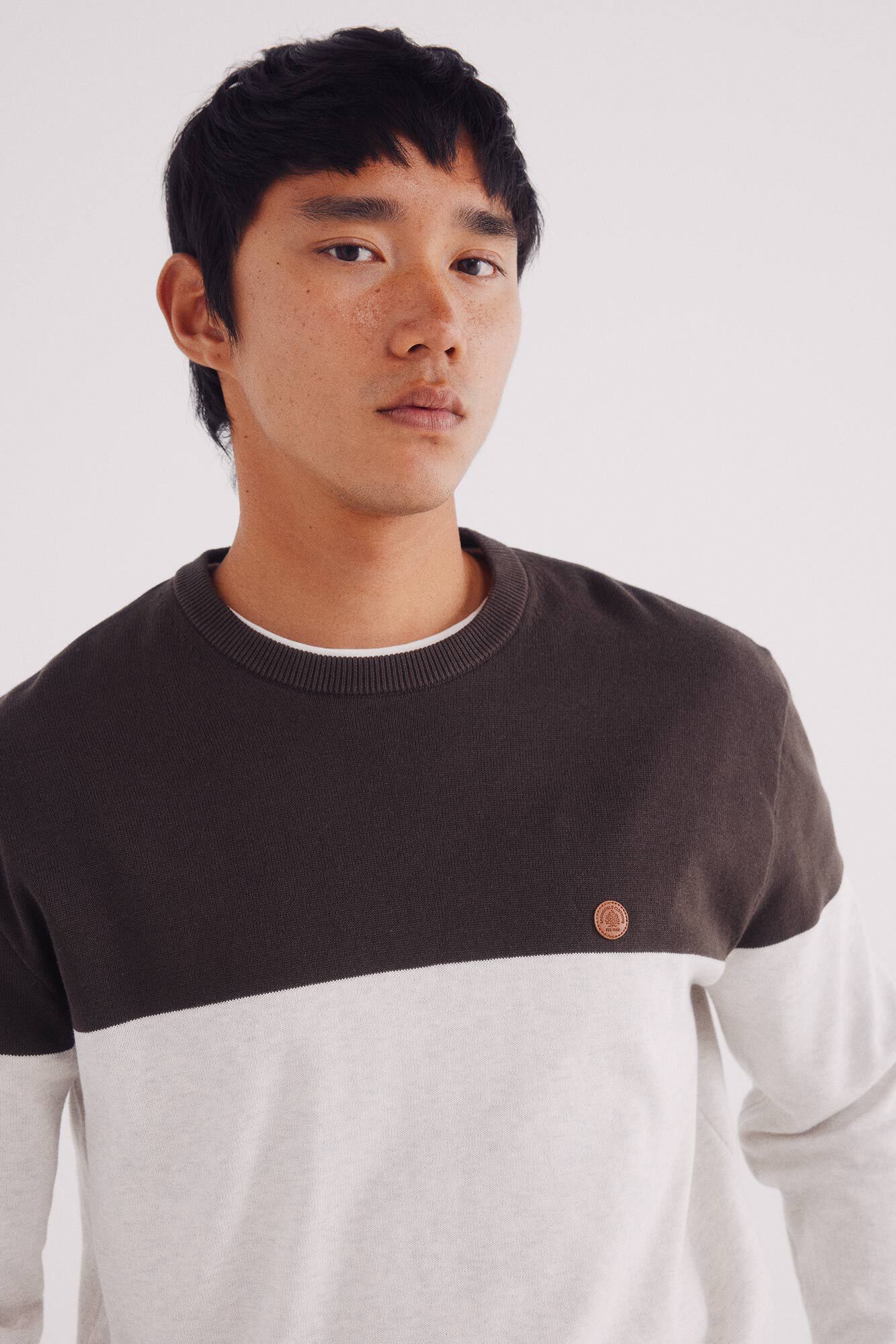 Springfield Pull basique &agrave; blocs de couleurs