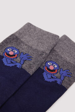 Springfield Sesame Street Positional Sock