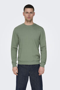 Springfield Klassisches Sweatshirt  grün
