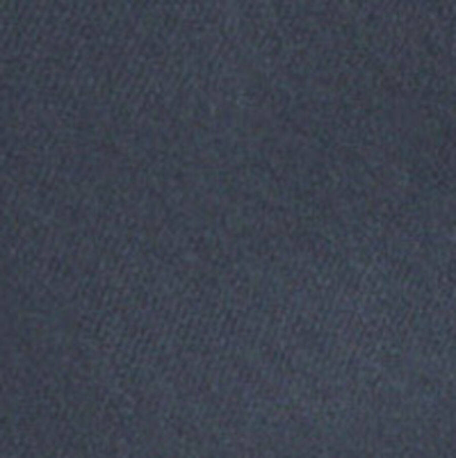 Color swatch