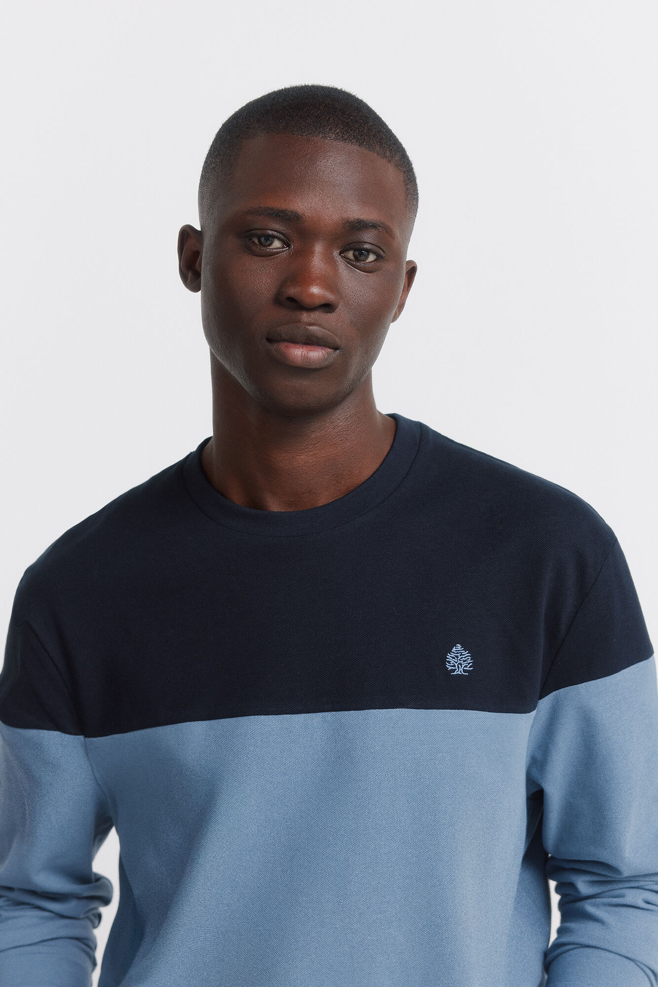 Springfield Majica dugih rukava u blokovima boja