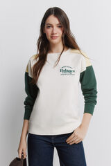Springfield Tricolour sweatshirt brown