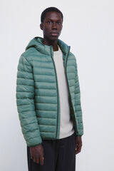 Springfield Chaqueta acolchada capucha verde
