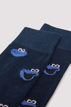 Springfield Sesame Street Sock