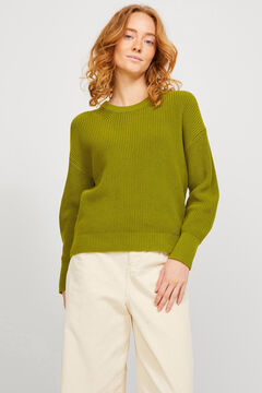 Springfield Langärmeliger Pullover grün