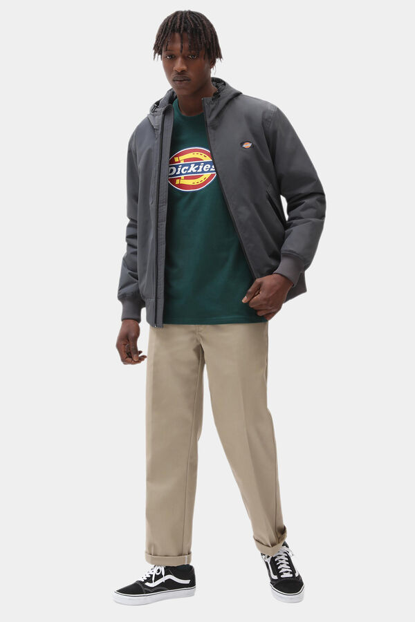 Dickies The New Sarpy Jacket  grey