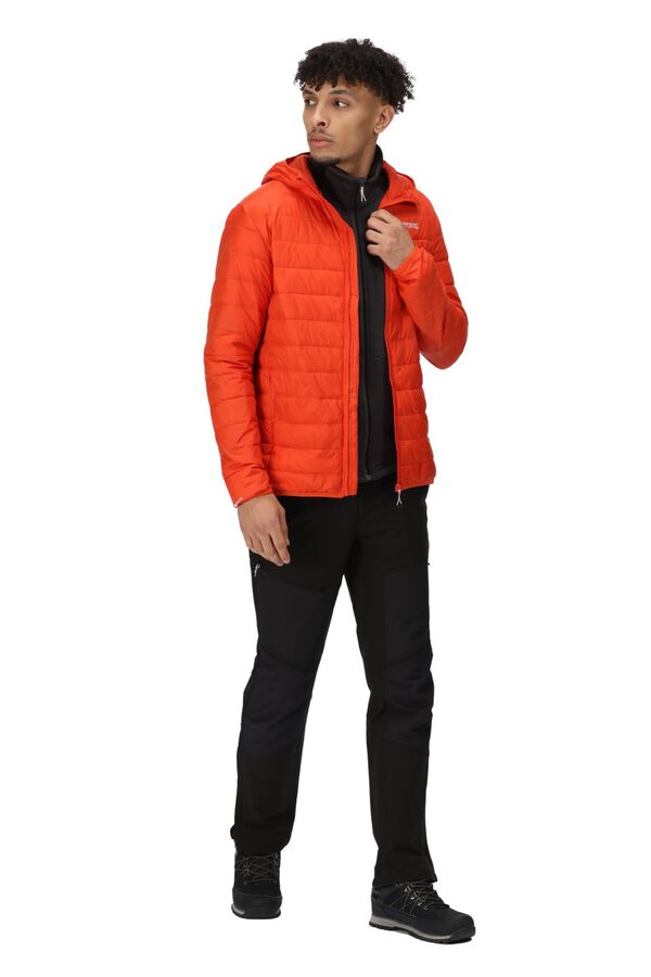 Springfield Hillpack hooded jacket red