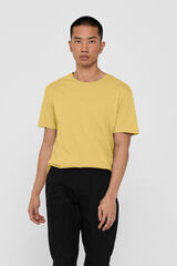 Springfield Basic-T-Shirt color