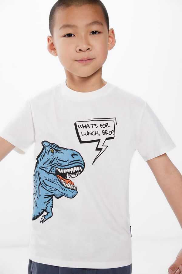 Springfield Boys' dinosaur print T-shirt slonovača