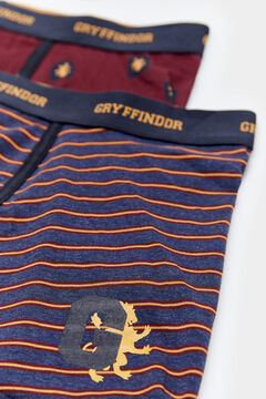 Springfield 2-pack Harry Potter boxers Gryffindor house red